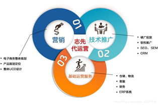 网络营销与电子商务 厘清边界，赋能网络业务